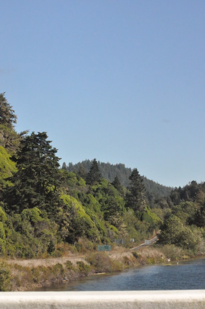 Name: PCH-SFtoCentralPoint233.jpg
Views: 51
Size: 135.0 KB