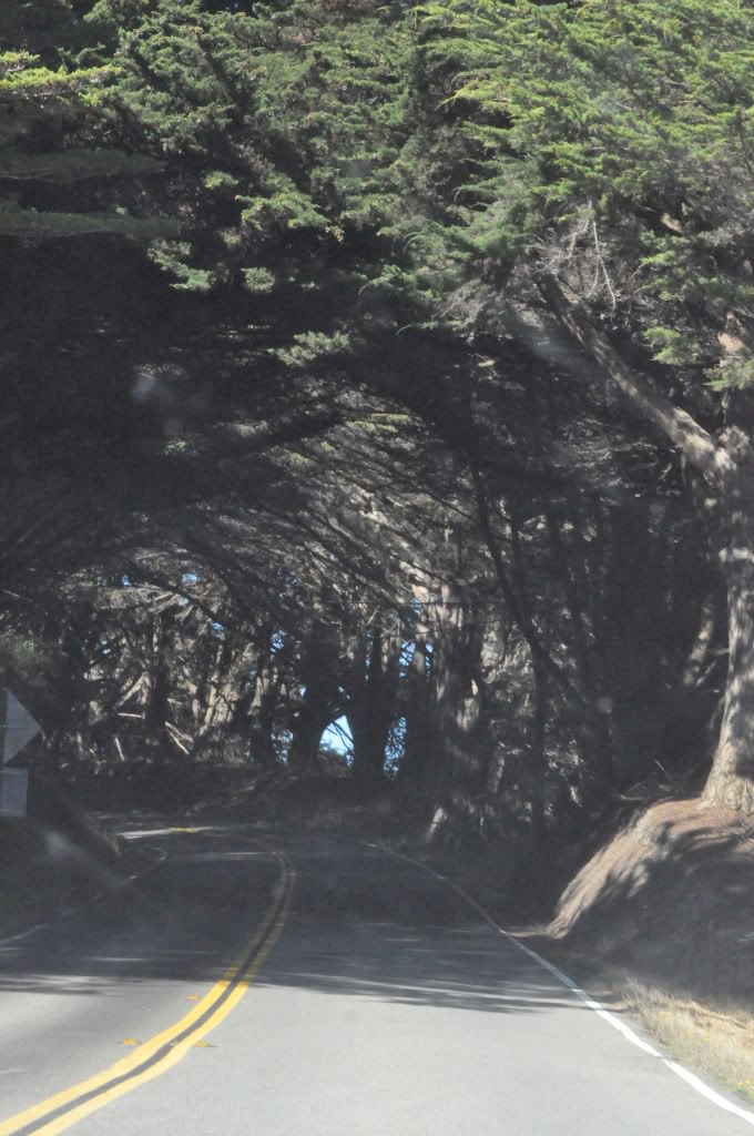 Name: PCH-SFtoCentralPoint252.jpg
Views: 55
Size: 171.5 KB
