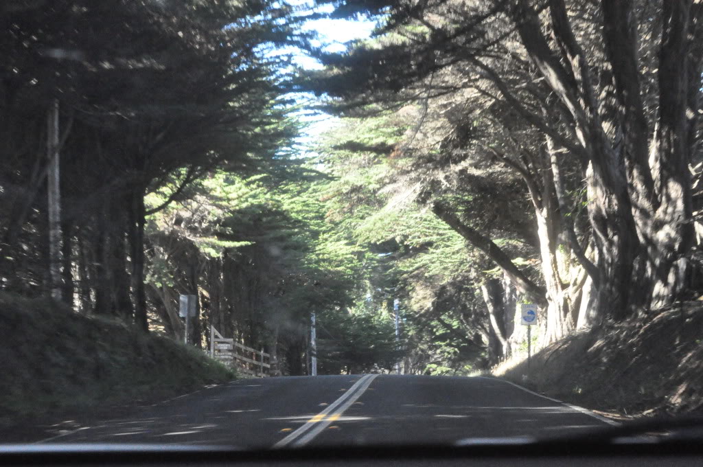 Name: PCH-SFtoCentralPoint255.jpg
Views: 51
Size: 189.8 KB