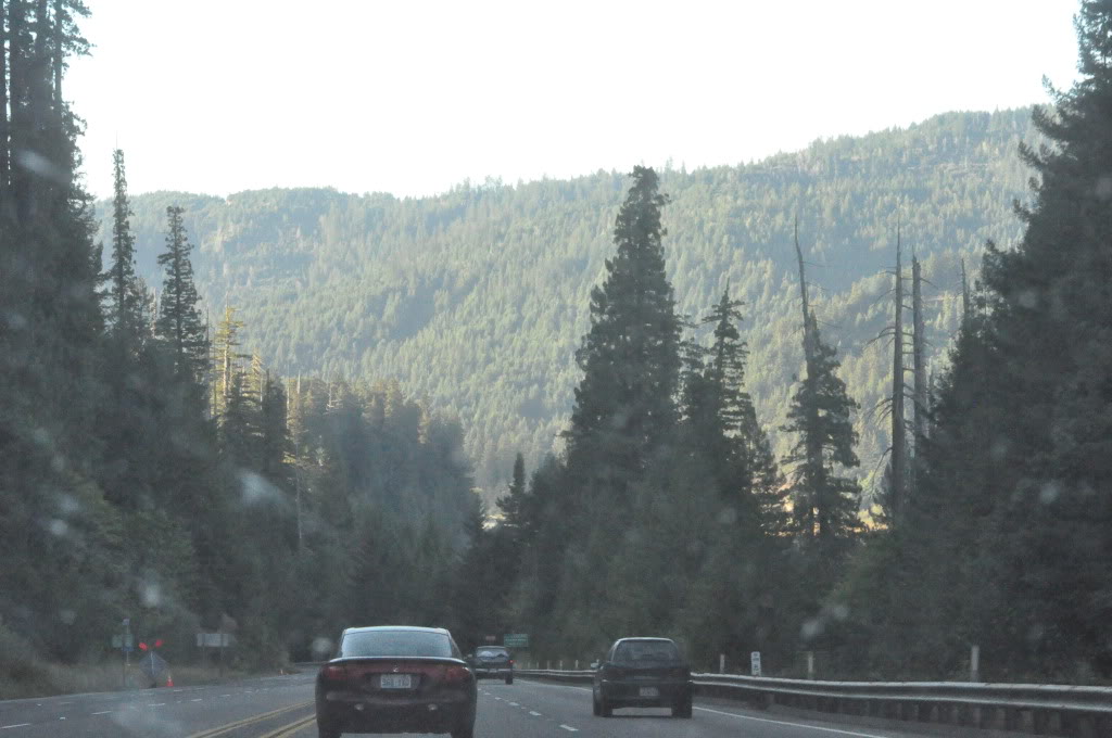Name: PCH-SFtoCentralPoint305.jpg
Views: 48
Size: 126.2 KB