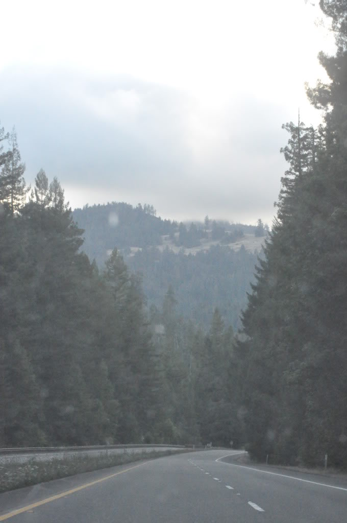 Name: PCH-SFtoCentralPoint307.jpg
Views: 55
Size: 88.8 KB