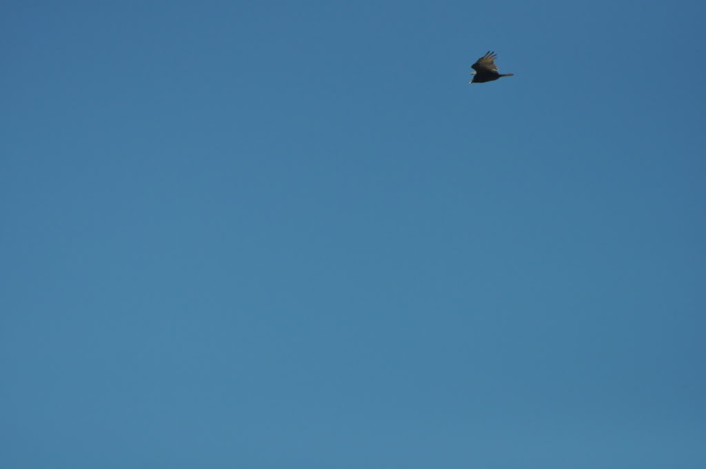 Name: PCH-Day1079.jpg
Views: 58
Size: 43.2 KB