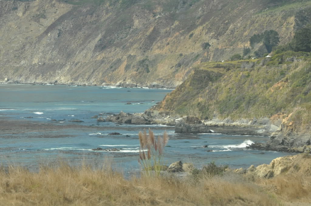 Name: PCH-Day1174.jpg
Views: 68
Size: 169.5 KB
