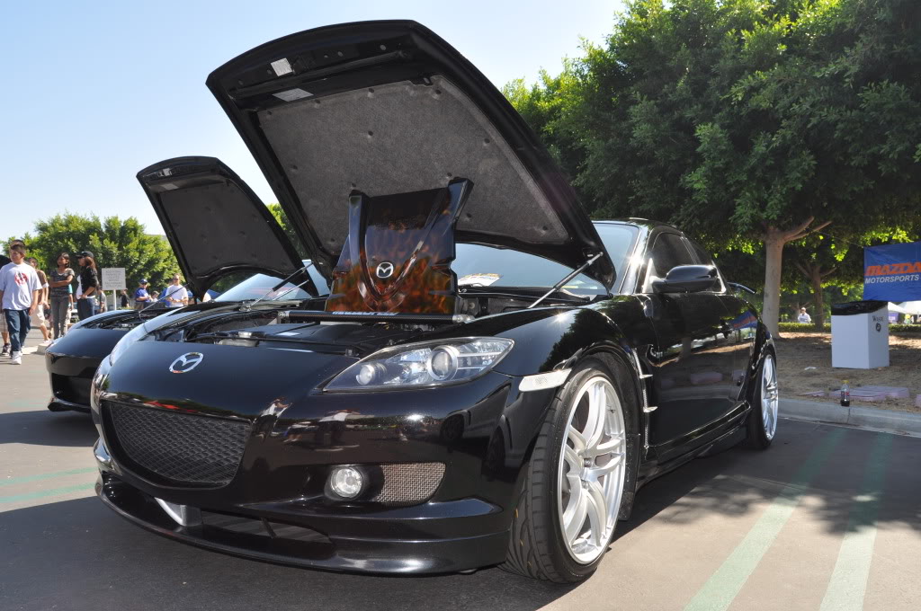 Name: DSC_2037.jpg
Views: 41
Size: 172.3 KB