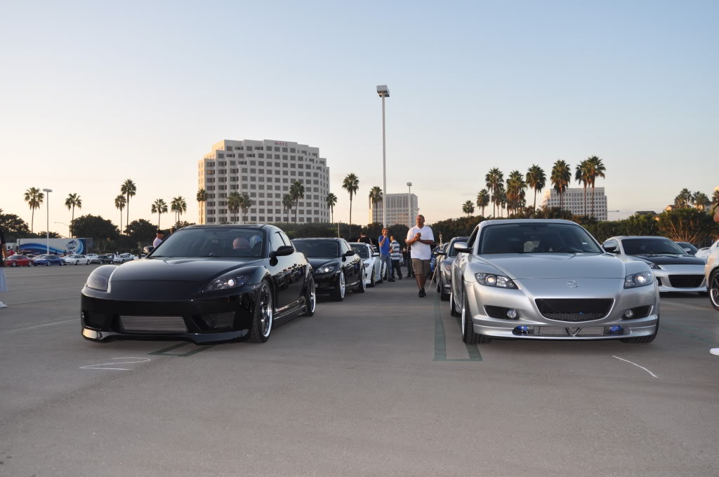 Name:  DSC_2010.jpg
Views: 44
Size:  125.5 KB