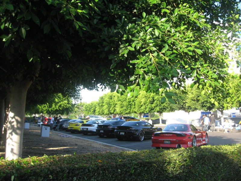 Name: IMG_6242.jpg
Views: 44
Size: 170.2 KB