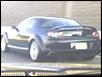 I saw YOU today!-img483.jpg