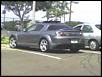 I saw YOU today!-img538.jpg