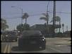 I saw YOU today!-img596.jpg