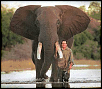 Starbux Meet Aug 12th-elephant.png