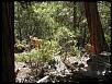 San Bernardino monthly Mazda meet and drive.-day-1-deer.jpg