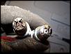 San Bernardino monthly Mazda meet and drive.-plugs-2.jpg
