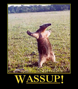 SoCal Lounge II-automotivator-2-.jpg