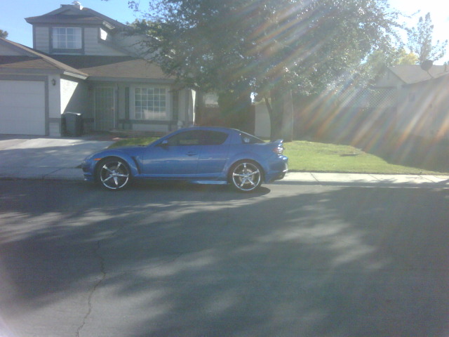 Name: 8spotted10-28-12AlexanderandRainbowish.jpg
Views: 45
Size: 72.8 KB