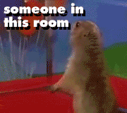 Name: pedobear.gif
Views: 36
Size: 624.0 KB