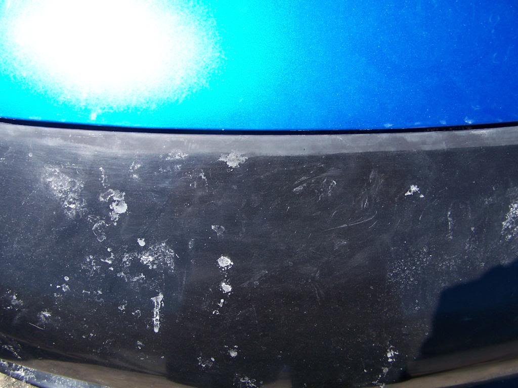 Name: 101_7358.jpg
Views: 35
Size: 99.7 KB