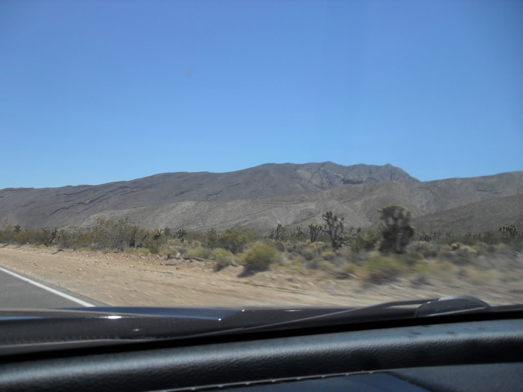 Name: SDC11511.jpg
Views: 40
Size: 88.3 KB