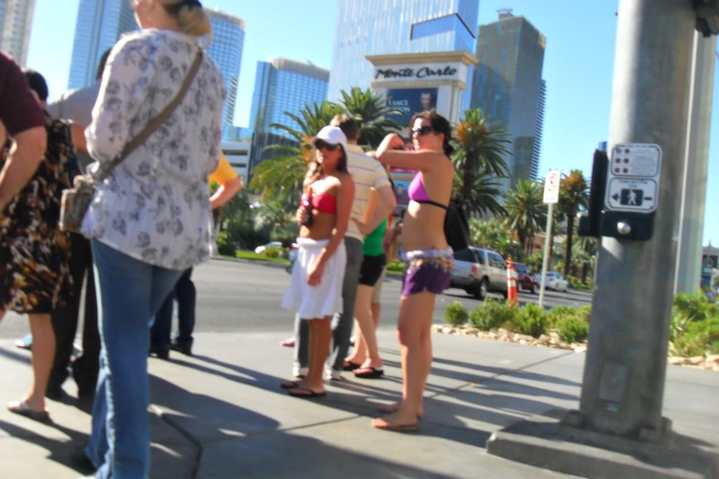 Name: SDC11439.jpg
Views: 46
Size: 119.0 KB