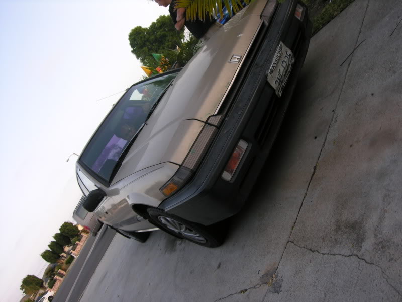 Name: DSCN8997.jpg
Views: 53
Size: 96.4 KB