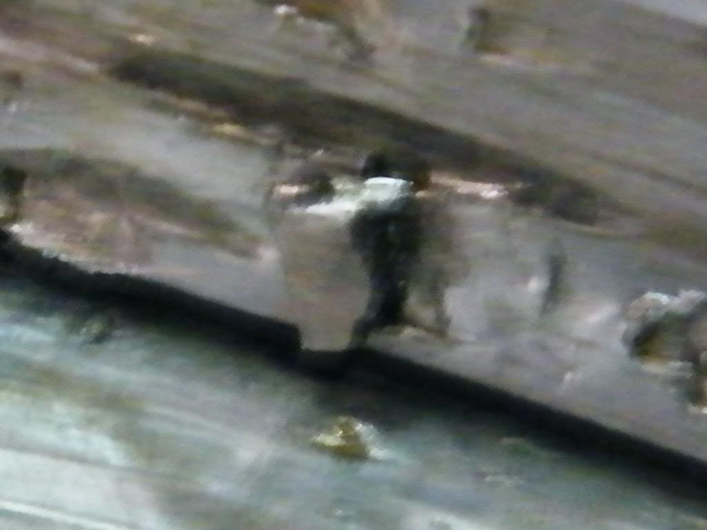 Name: Jeffblewit05042010004.jpg
Views: 32
Size: 58.0 KB