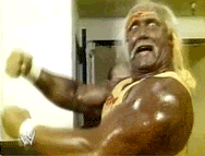 Name:  HulkHoganFreaking.gif
Views: 40
Size:  82.2 KB