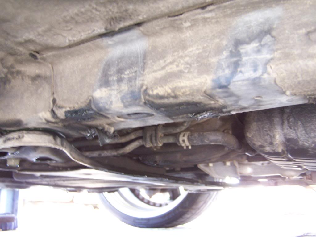 Name:  101_7126.jpg
Views: 34
Size:  70.7 KB