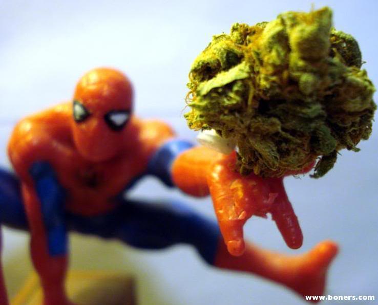 Name:  ThisBuds4You.jpg
Views: 38
Size:  39.4 KB