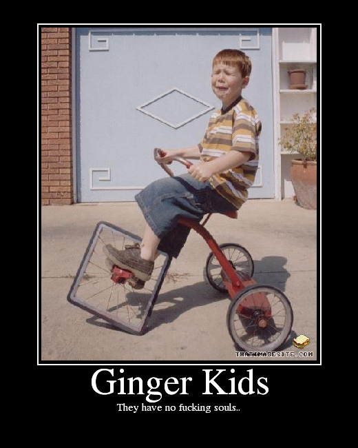 Name:  GingerKids.png
Views: 25
Size:  264.0 KB