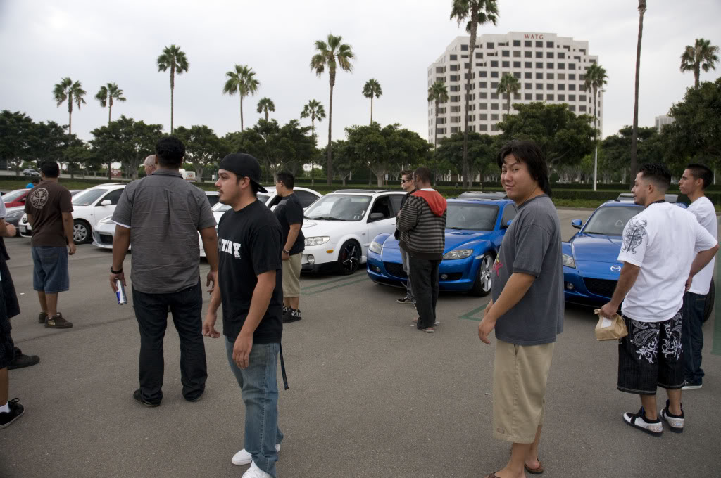 Name:  DSC_2612.jpg
Views: 25
Size:  138.0 KB