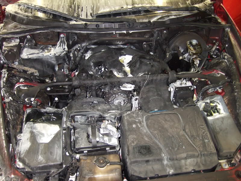 Name:  DSCF0378.jpg
Views: 25
Size:  132.1 KB