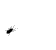 Name:  bug4.gif
Views: 27
Size:  5.3 KB