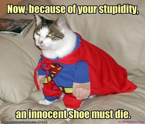 Name:  SuperCat.jpg
Views: 26
Size:  39.1 KB