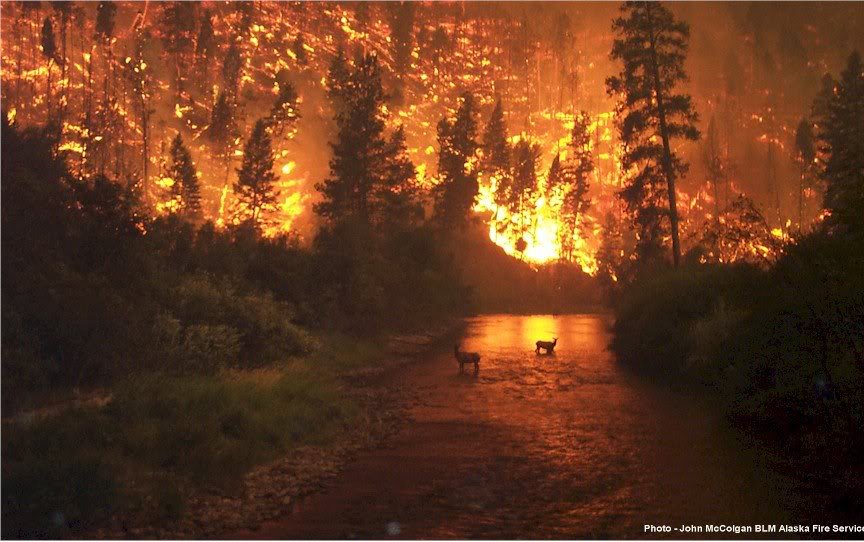 Name:  fire.jpg
Views: 46
Size:  88.3 KB