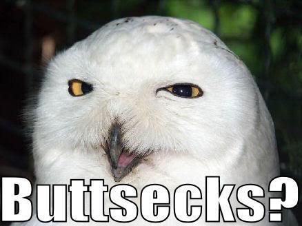 Name:  buttsecks.jpg
Views: 27
Size:  23.3 KB