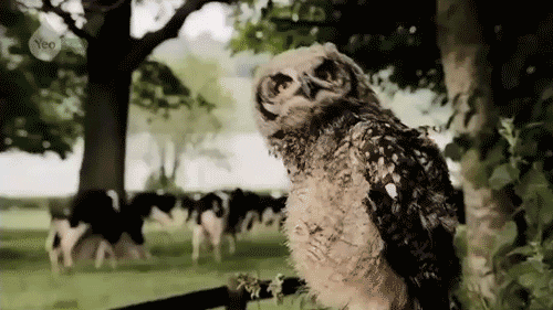 Name:  mA4pX.gif
Views: 14
Size:  415.3 KB