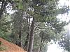 Once a month meeting near San Bernardino-dscn0062.jpg