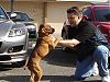 Once a month meeting near San Bernardino-dsc01042.jpg