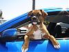 Once a month meeting near San Bernardino-dsc01109.jpg