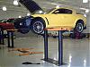 I Spotted Your 8 in AZ-mini-09factor071506-005.jpg