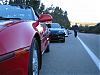 if you plan it, they will come-rosas-017.jpg
