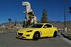 The 06-07 San Bernardino Calendar Project-dino-2.jpg