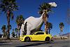 The 06-07 San Bernardino Calendar Project-dino-6.jpg