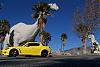 The 06-07 San Bernardino Calendar Project-dino-7.jpg