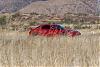 The 06-07 San Bernardino Calendar Project-grass-3.jpg