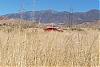 The 06-07 San Bernardino Calendar Project-grass-4.jpg