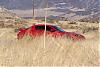 The 06-07 San Bernardino Calendar Project-grass-5.jpg