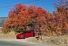 The 06-07 San Bernardino Calendar Project-fall-1.jpg