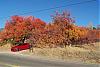 The 06-07 San Bernardino Calendar Project-fall-3.jpg
