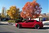 The 06-07 San Bernardino Calendar Project-fall-5.jpg