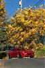 The 06-07 San Bernardino Calendar Project-fall-6.jpg